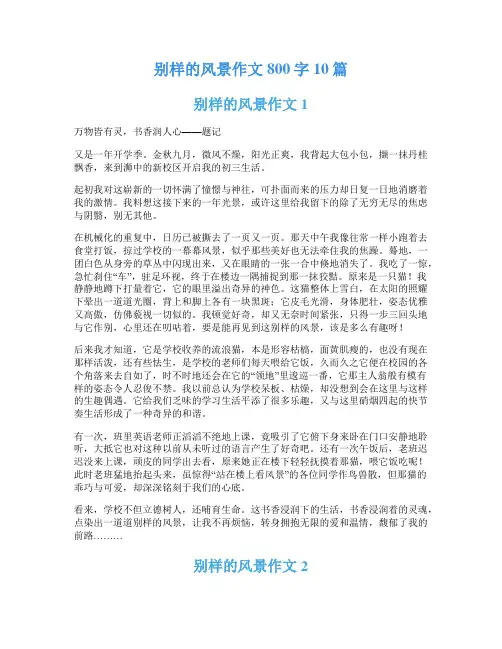 别样的风景作文800字10篇