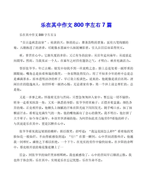 乐在其中作文800字左右7篇
