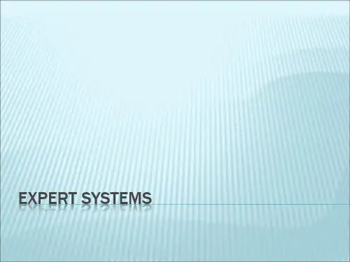 ExpertSystem 专家系统