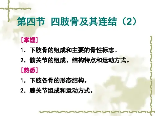 下肢骨及其连结PPT课件