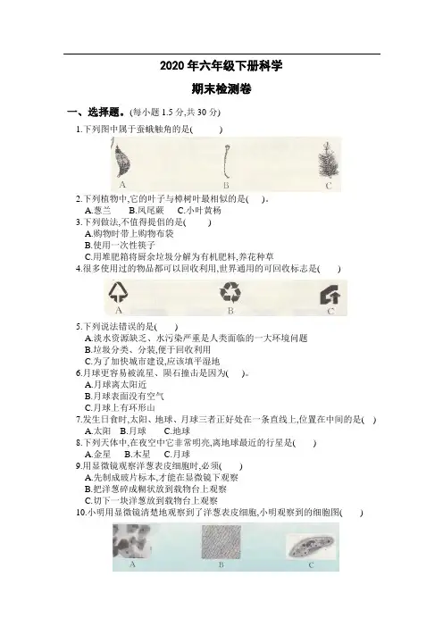 2020年六年级下册科学期末检测卷(含答案)教科版 (7)