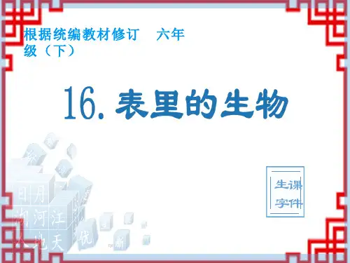 统编版小学语文六年级下册精品生字课件16 表里的生物