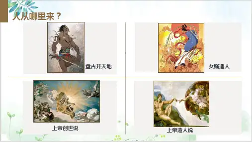 部编高中历史必修三探索生命起源之谜ppt