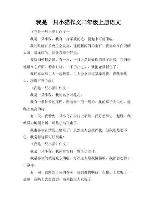 我是一只小猫作文二年级上册语文
