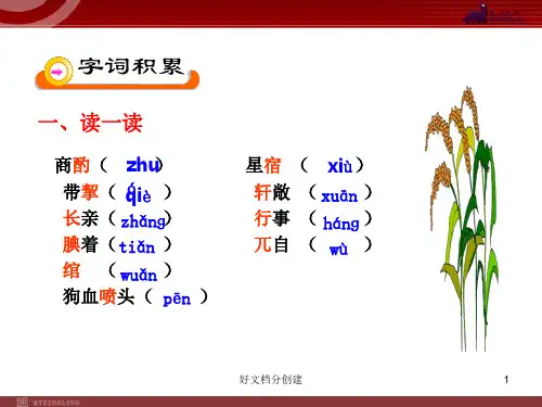 (最新修订)新课标初中语文教学课件：19 范进中举(人教版九年级上)_11-15