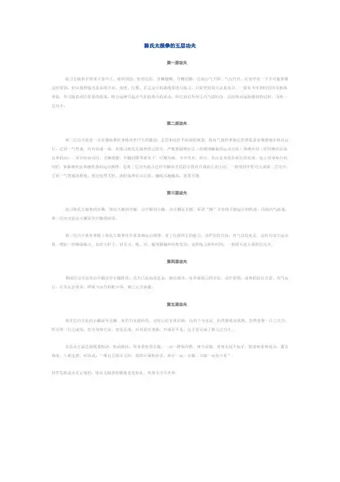 陈氏太极拳的五层功夫