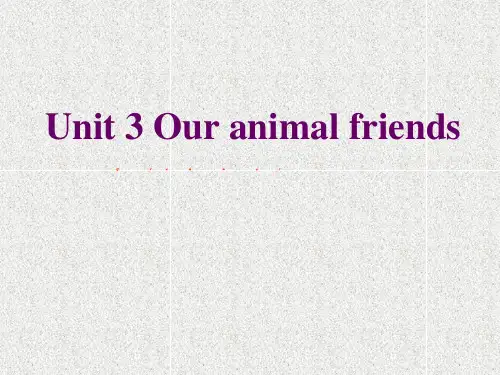 牛津深圳版英语七下Unit 3《Our animal friends》ppt课件7