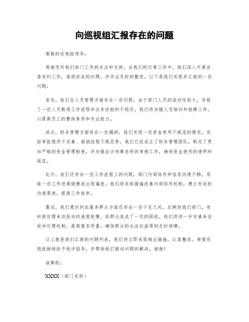 向巡视组汇报存在的问题