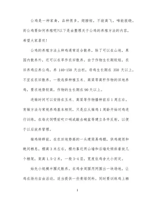 怎么养殖公鸡公鸡的饲管技术