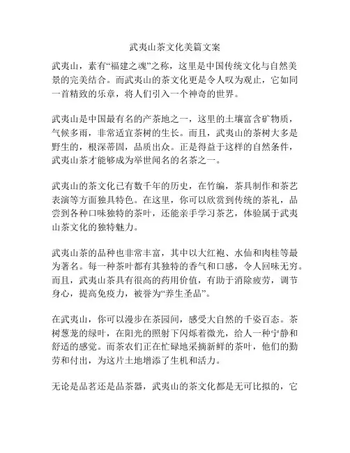 武夷山茶文化美篇文案