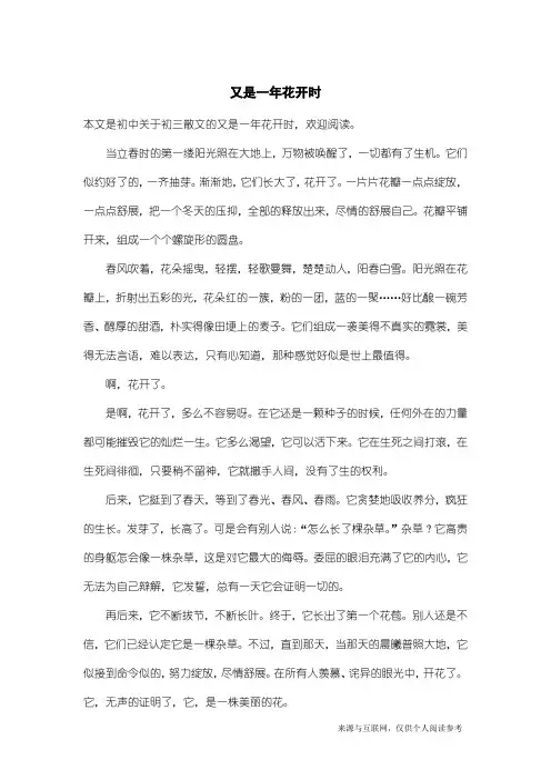 初三散文：又是一年花开时_4