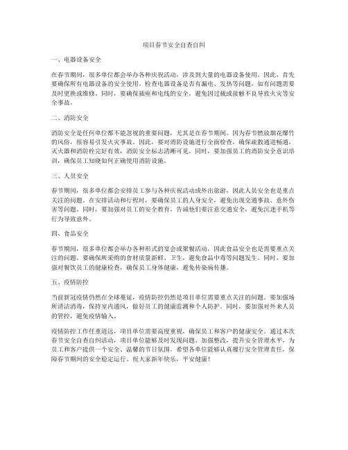 项目春节安全自查自纠