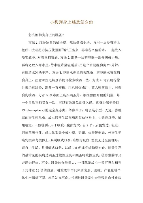 小狗狗身上跳蚤怎么治_1
