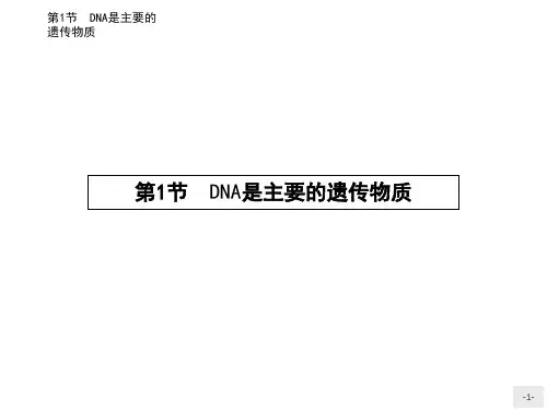【人教版】高中生物必修二：3.1《DNA是主要的遗传物质》ppt导学课件(含答案)