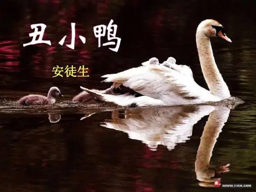 人教版七年级语文下册3《丑小鸭》课件(共16张PPT)
