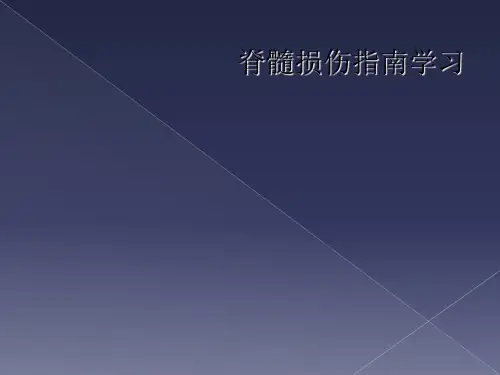 脊髓损伤指南学习