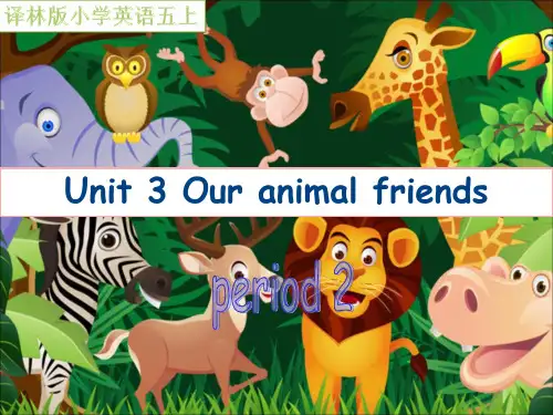 牛津译林版五年级英语上册unit3 Our animal friendperiod 2公开课课件