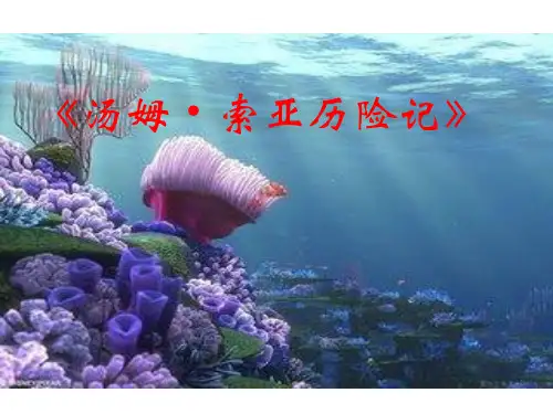 人教版六年级下册语文17《汤姆·索亚历险记》课件