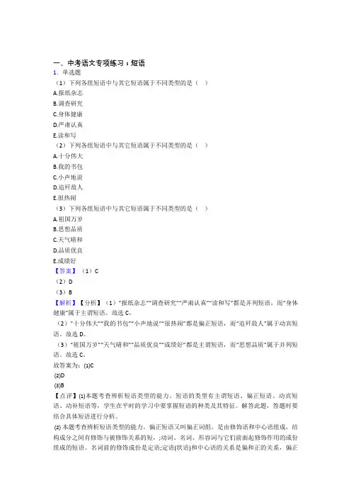 部编中考 语文 短语专项训练及解析