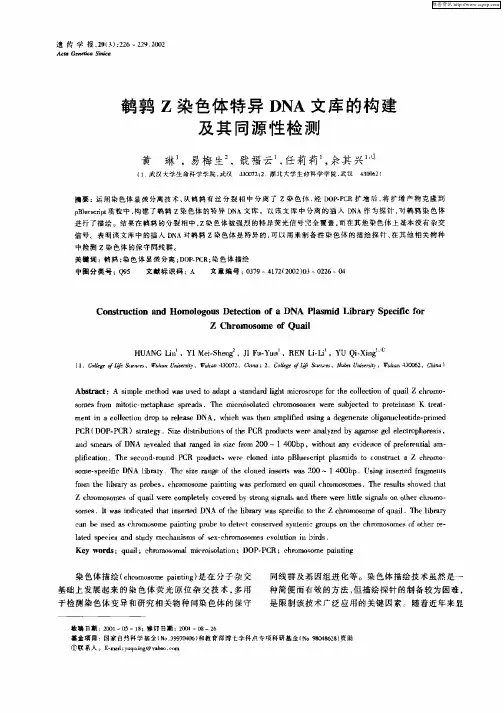 鹌鹑Z染色体特异文库的构建及其同源性检测