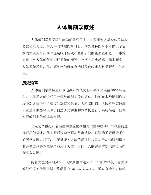 人体解剖学概述