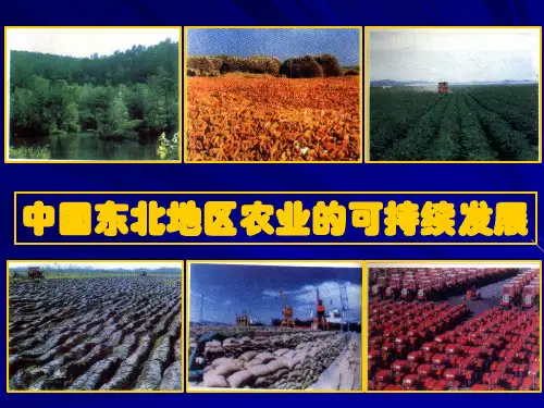 高中地理必修3第2章第3节中国东北地区农业的可持续发展 (2)