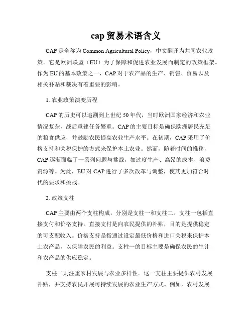 cap贸易术语含义