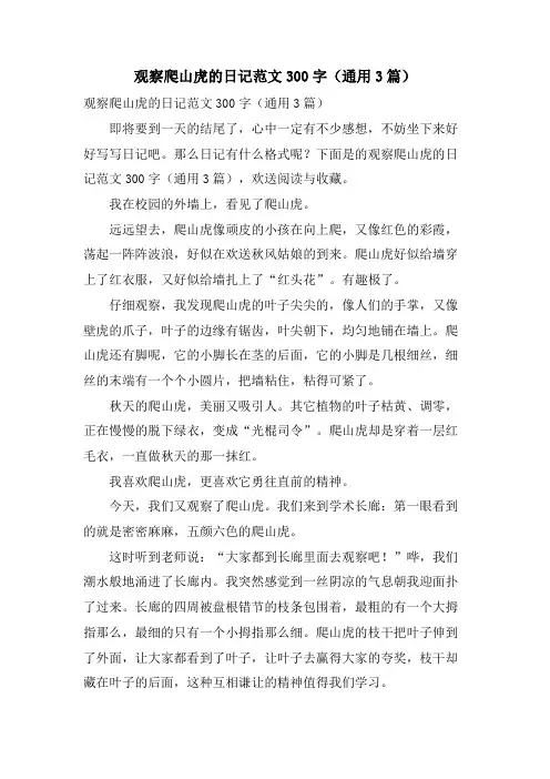 观察爬山虎的日记范文300字(通用3篇)