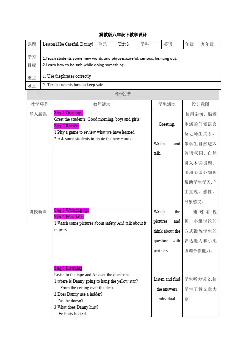 九年级下册unit3Lesson13Be Careful, Danny!!教学设计模板