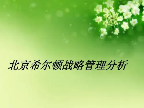 希尔顿酒店战略分析
