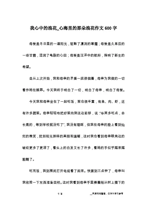 我心中的浪花_心海里的那朵浪花作文600字
