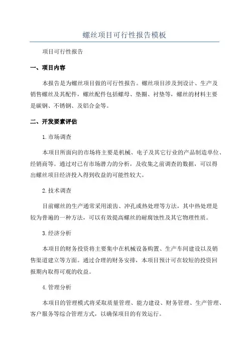 螺丝项目可行性报告模板