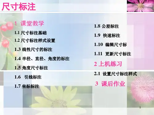 课尺寸标注PPT课件