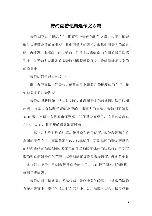 青海湖游记精选作文3篇