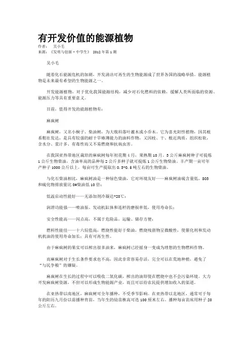 有开发价值的能源植物      