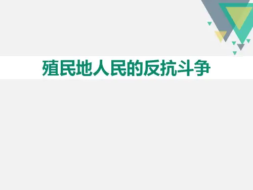 《殖民地人民的反抗斗争》PPT课件(完美版)