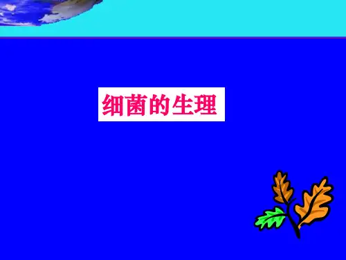 细菌的生理-医学微生物学课件