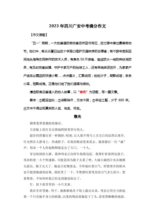 2023年四川广安中考满分作文《微光》2