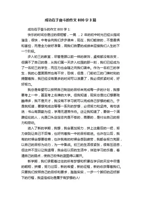 成功在于奋斗的作文800字3篇