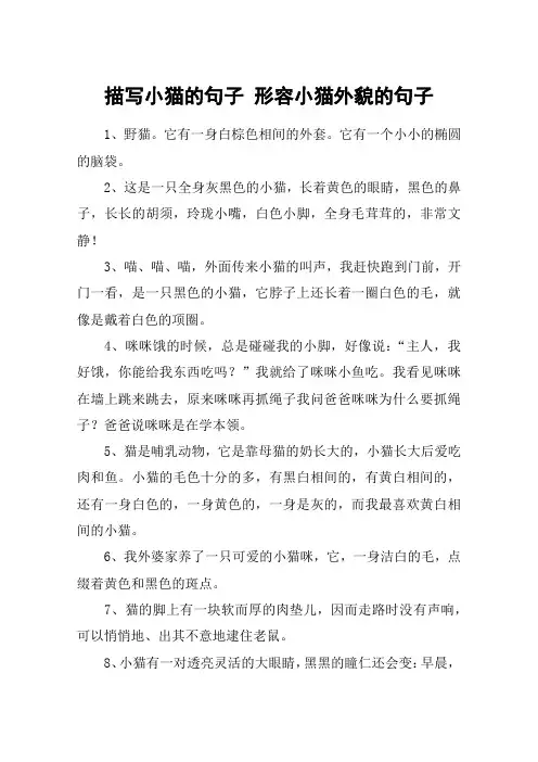描写小猫的句子 形容小猫外貌的句子