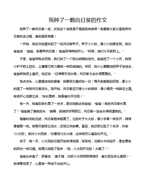 我种了一颗向日葵的作文