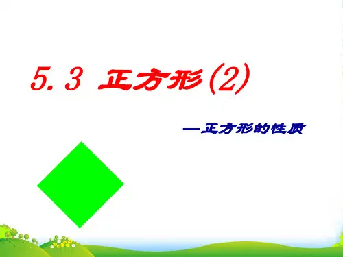 浙教版八年级数学下册第五章《5.3正方形(2)》课课件