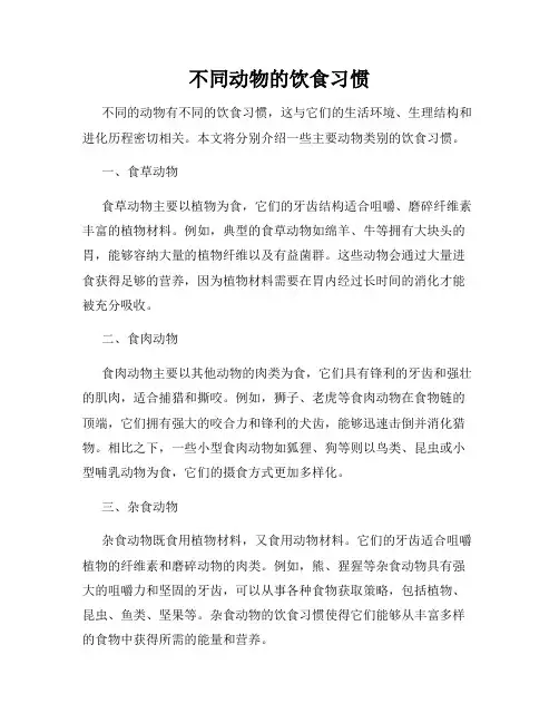 不同动物的饮食习惯