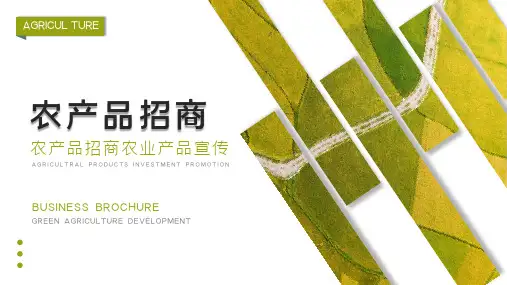 绿色简约风农产品招商宣传汇报PPT模板