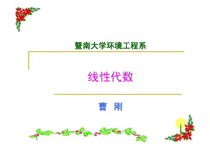 线性代数1-01 逆序数-行列式定义