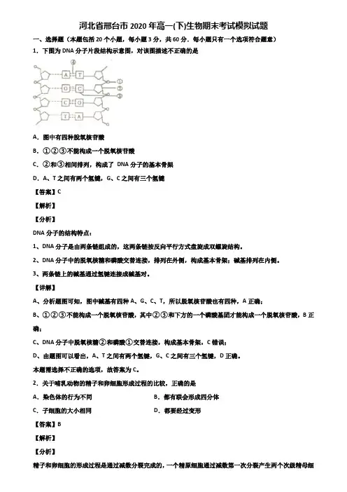 河北省邢台市2020年高一(下)生物期末考试模拟试题含解析