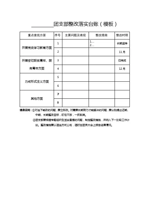 团支部整改落实台账模板