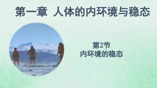 高中生物1.2内环境的稳态课件新人教版选择性必修1