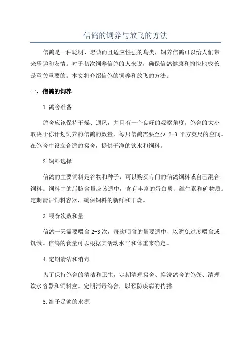 信鸽的饲养与放飞的方法