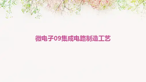 微电子09集成电路制造工艺